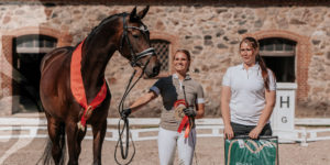 Blog: Mit liv med heste - Sally Lundquist